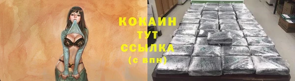 сатива Бугульма