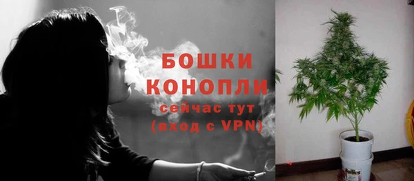 соль ск Верхний Тагил