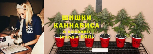 mdma Бородино